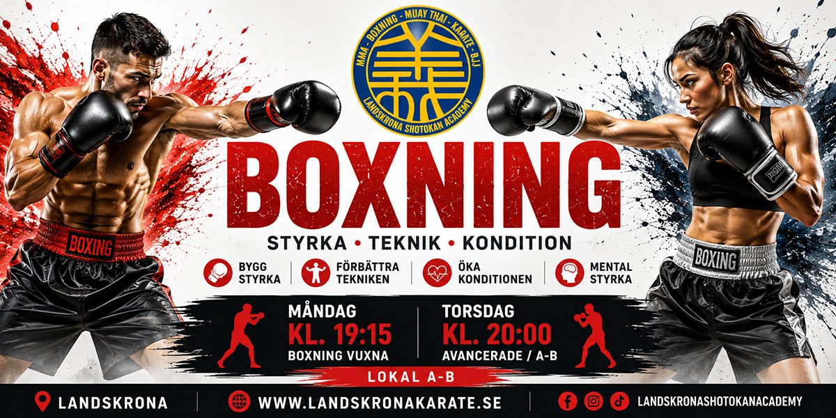 banner boxning