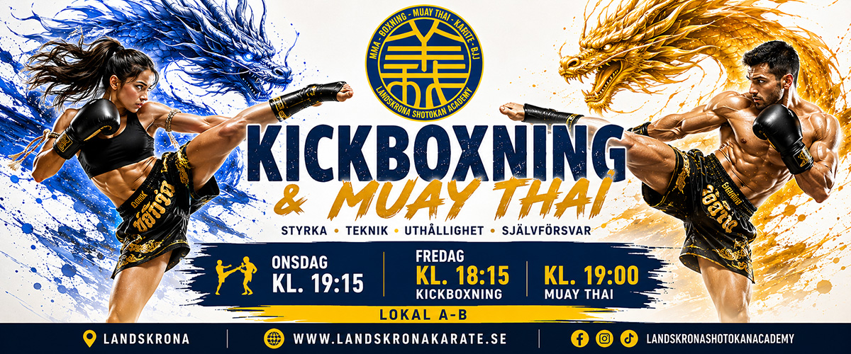 banner kickboxning1200