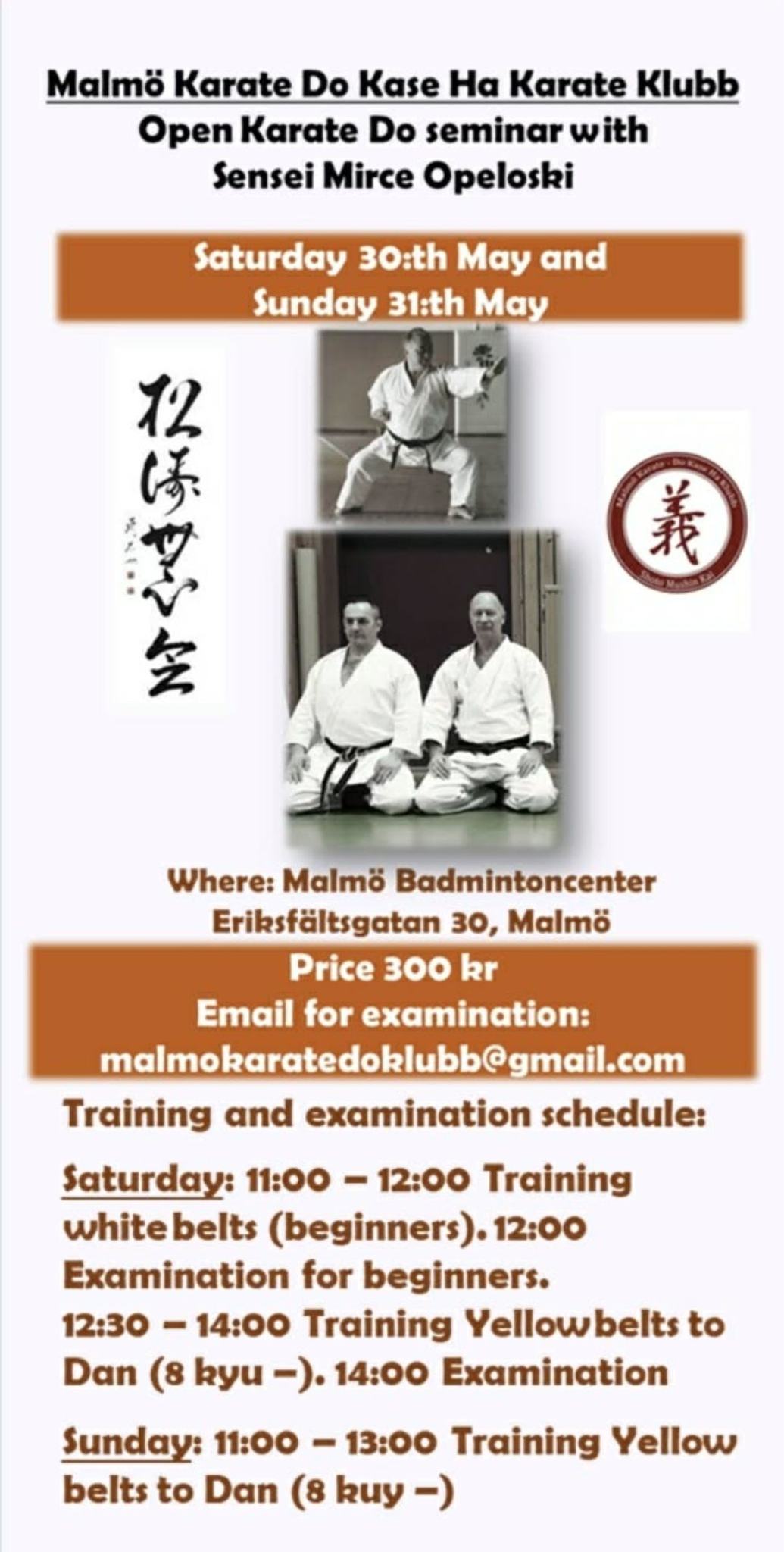 karate malmö.jpg